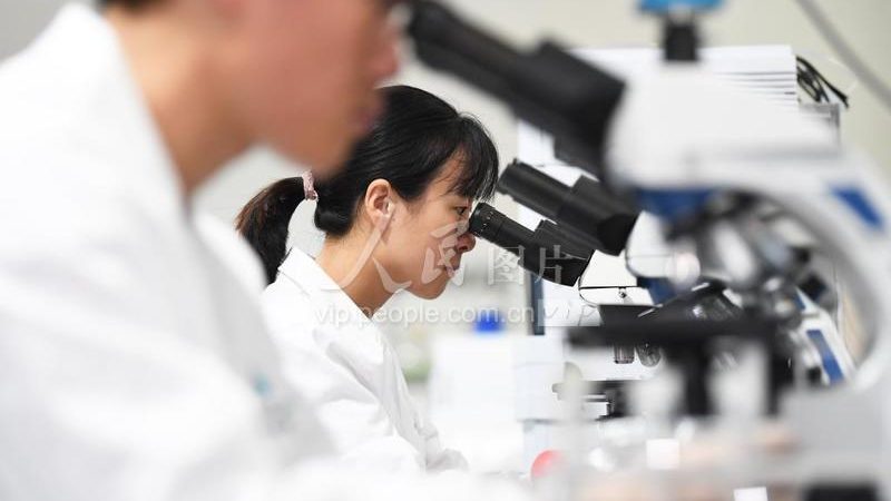 逆转录酶型号规格参数解析：揭秘基因编辑的得力助手