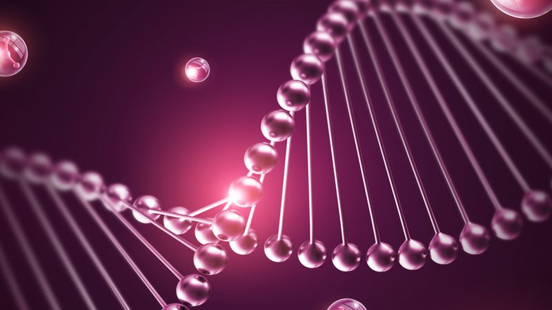 引物合成：生物科技研究中的关键一环