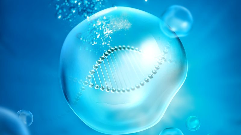 广州细胞培养基现货供应，如何挑选合适的产品？**