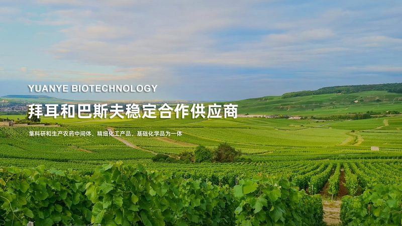 癌症基因检测怎么做：精准医疗的关键一步