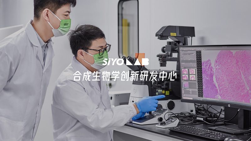 生物制品定制加工，如何确保规范与合规？**