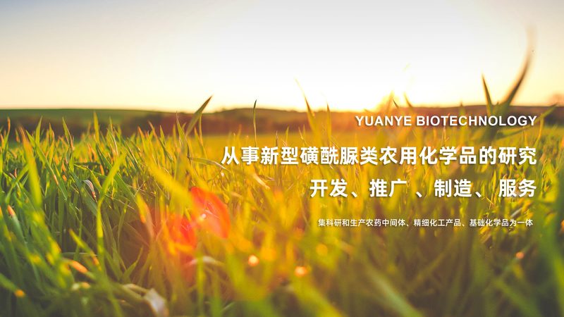 酶制剂储存温度监控：守护生物活性，确保科研品质**