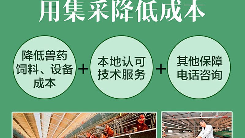 生物科技公司报价解析：揭秘定价背后的逻辑