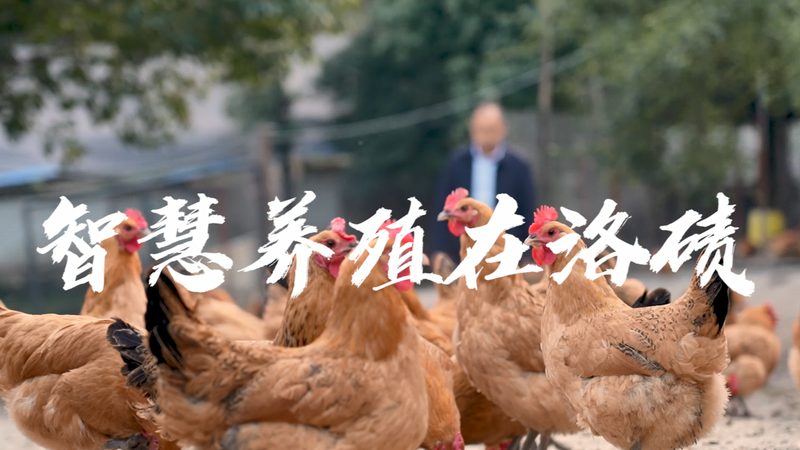北京生物试剂质量认证标准：揭秘背后的严格规范