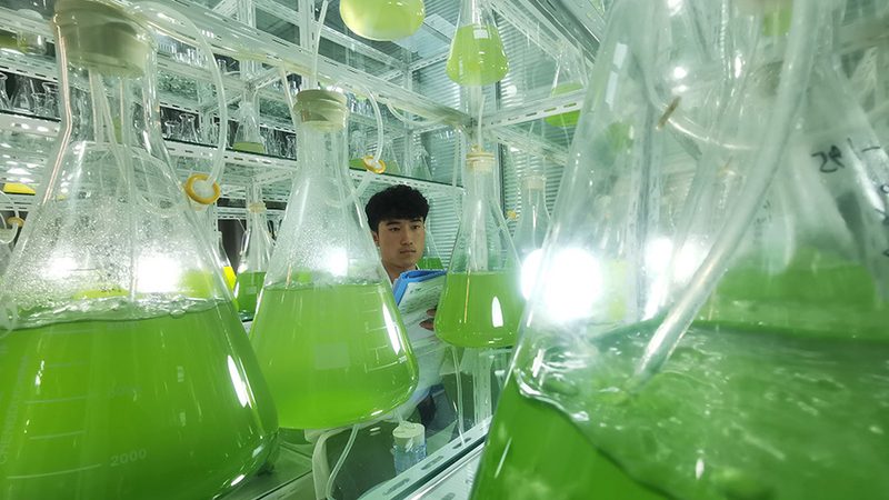 离心力选择：如何准确匹配离心管需求**